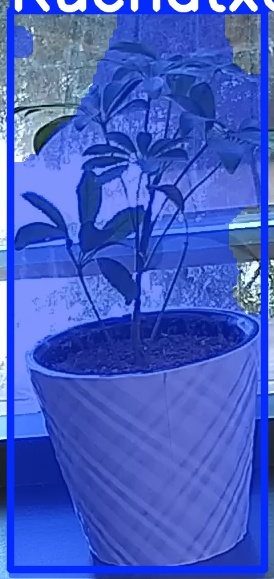 TREE-000011_20260623_092046.jpg