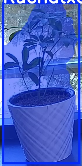 TREE-000011_20260623_092619.jpg