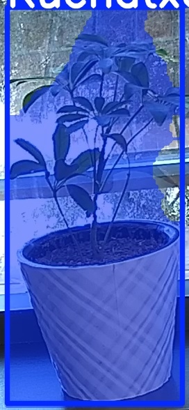 TREE-000011_20260623_092729.jpg