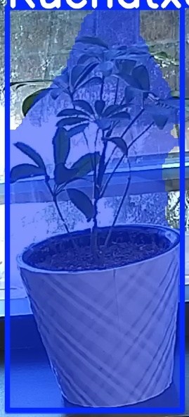 TREE-000011_20260623_093139.jpg