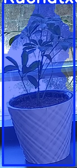 TREE-000011_20260623_093253.jpg