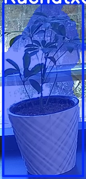 TREE-000011_20260623_093405.jpg