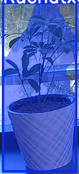 TREE-000011_20260623_093514.jpg