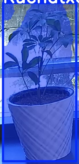TREE-000011_20260623_093625.jpg