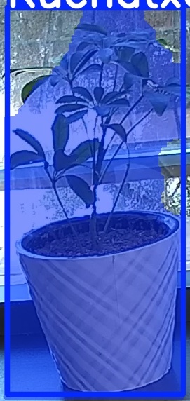 TREE-000011_20260623_093845.jpg