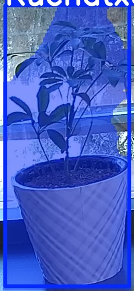 TREE-000011_20260623_093956.jpg