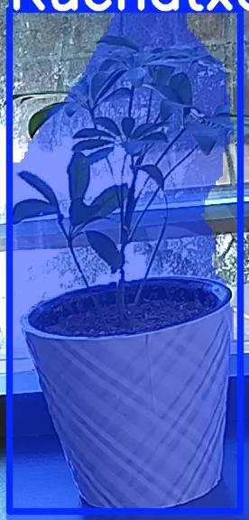 TREE-000011_20260623_094104.jpg