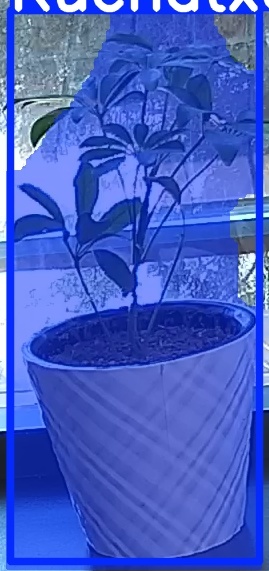 TREE-000011_20260623_094154.jpg
