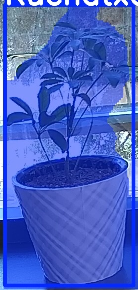 TREE-000011_20260623_095155.jpg