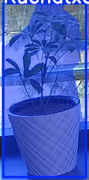 TREE-000011_20260623_095314.jpg