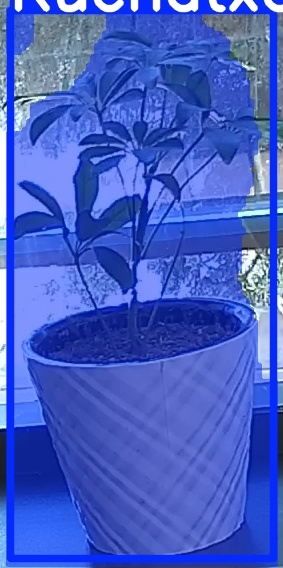 TREE-000011_20260623_095423.jpg