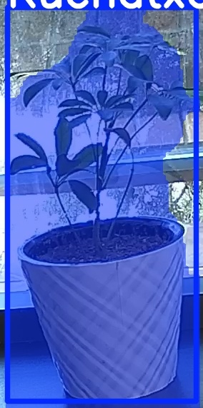 TREE-000011_20260623_100024.jpg