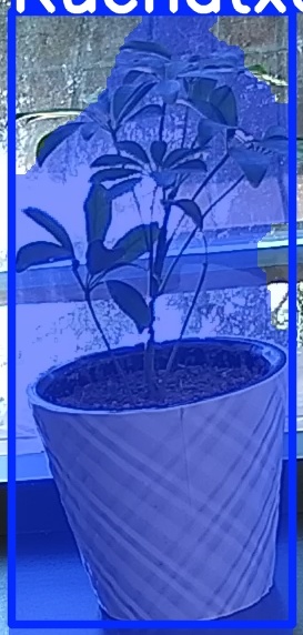 TREE-000011_20260623_100811.jpg