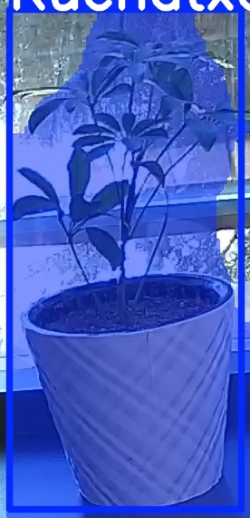 TREE-000011_20260623_100926.jpg