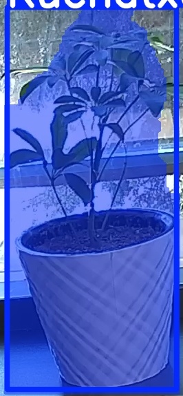 TREE-000011_20260623_101257.jpg