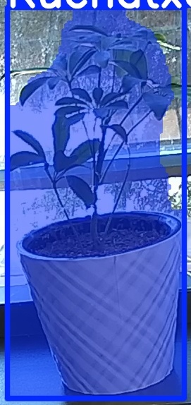 TREE-000011_20260623_101406.jpg
