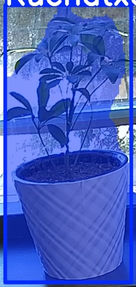 TREE-000011_20260623_101517.jpg