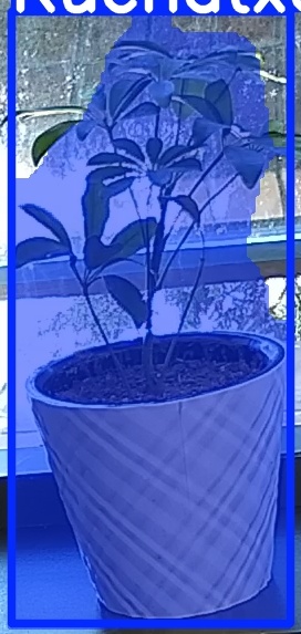 TREE-000011_20260623_101627.jpg