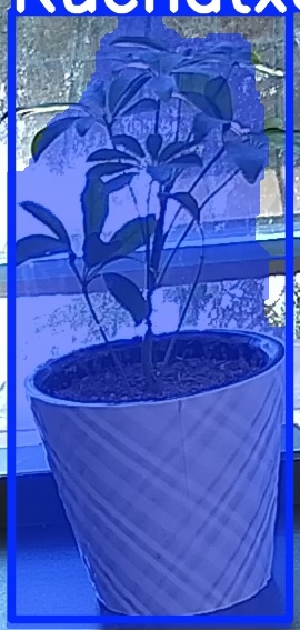 TREE-000011_20260623_101737.jpg