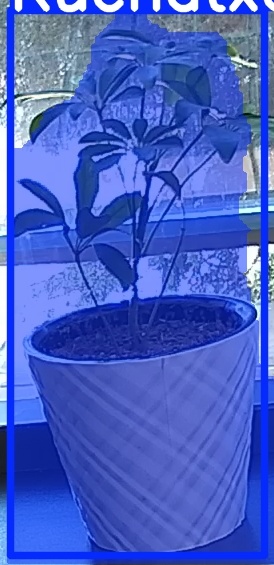 TREE-000011_20260623_101848.jpg