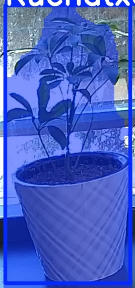 TREE-000011_20260623_101958.jpg