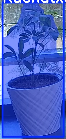TREE-000011_20260623_102108.jpg