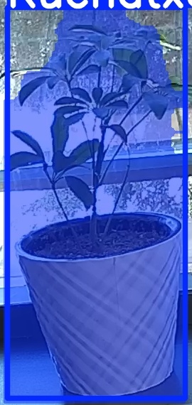 TREE-000011_20260623_102128.jpg