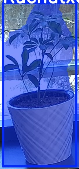 TREE-000011_20260623_102228.jpg