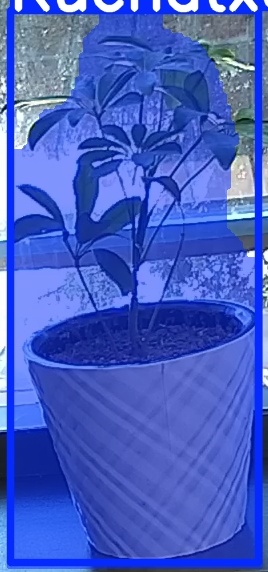 TREE-000011_20260623_102340.jpg