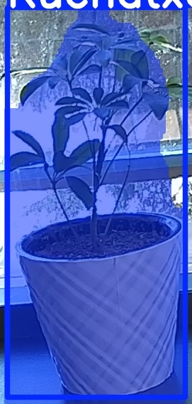 TREE-000011_20260623_102427.jpg