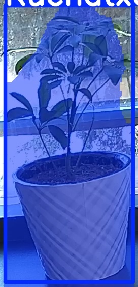 TREE-000011_20260623_102537.jpg