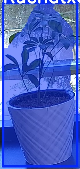 TREE-000011_20260623_102756.jpg