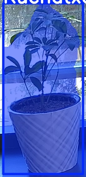 TREE-000011_20260623_102907.jpg
