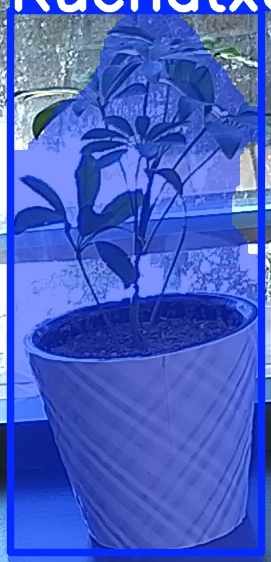 TREE-000011_20260623_103017.jpg
