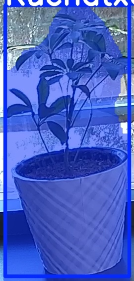 TREE-000011_20260623_103127.jpg