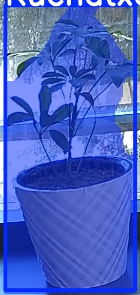 TREE-000011_20260623_103210.jpg