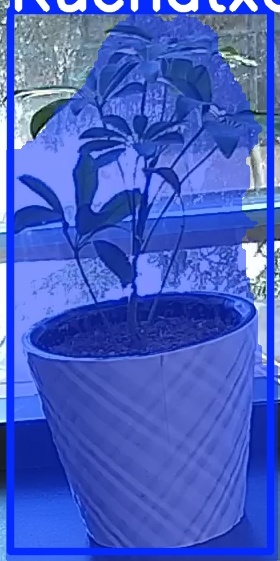TREE-000011_20260623_103325.jpg