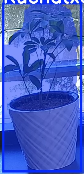 TREE-000011_20260623_103549.jpg