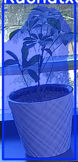 TREE-000011_20260623_103701.jpg