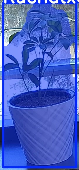 TREE-000011_20260623_103811.jpg