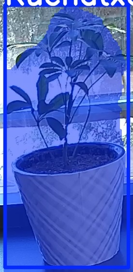TREE-000011_20260623_103921.jpg