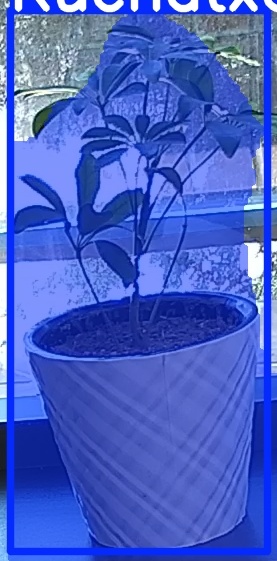 TREE-000011_20260623_104034.jpg