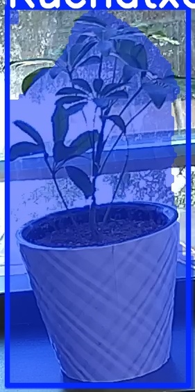 TREE-000011_20260623_104145.jpg