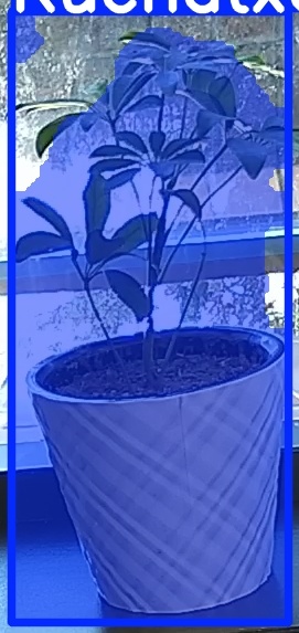 TREE-000011_20260623_104254.jpg
