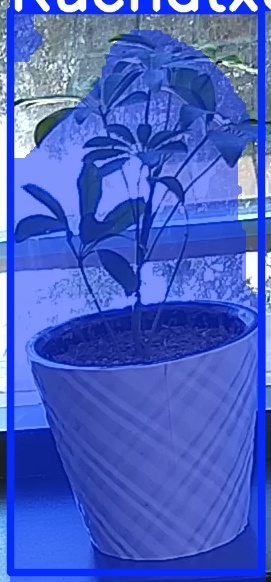 TREE-000011_20260623_104401.jpg