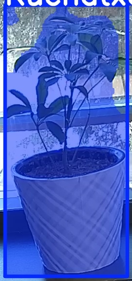 TREE-000011_20260623_104538.jpg