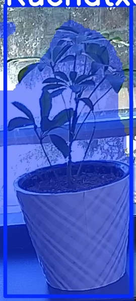TREE-000011_20260623_104645.jpg