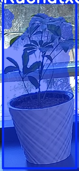 TREE-000011_20260623_104756.jpg