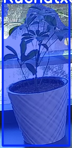 TREE-000011_20260623_104907.jpg