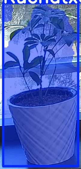 TREE-000011_20260623_105016.jpg
